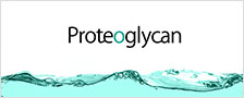 proteoglycan